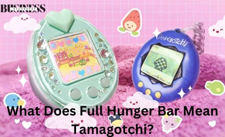 what does full hunger bar mean tamagotchi