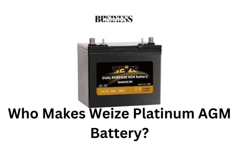 who makes weize platinum agm battery